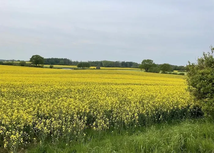 Muehlenblick - Comfortable * Damp