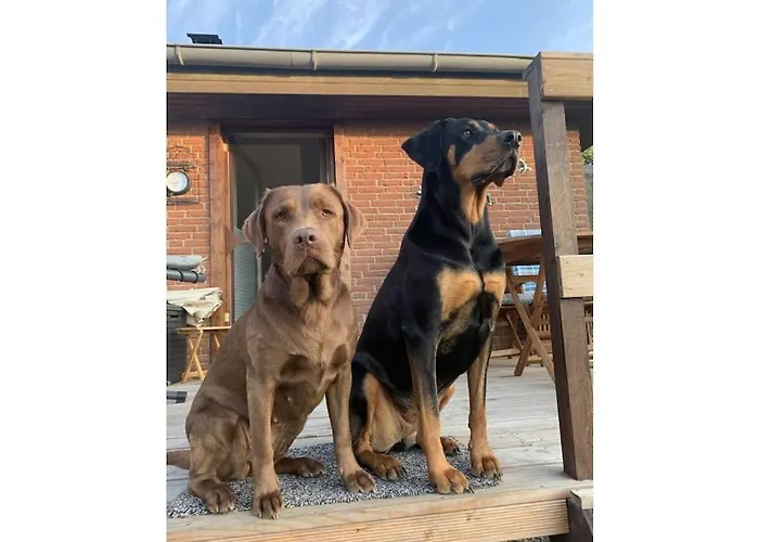 Vakantiehuis Muehlenblick - Comfortable